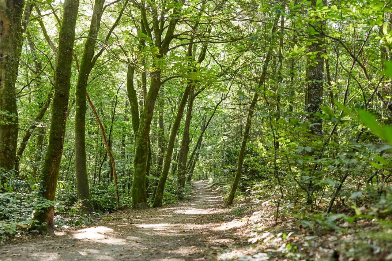 Gite De Pen Vraz Plougoumelen Buitenkant foto